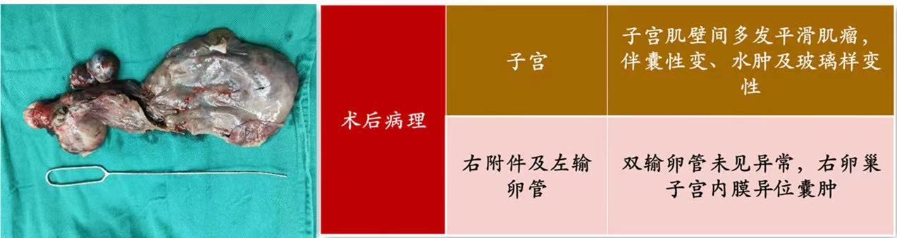 微信图片_202304121458311.jpg