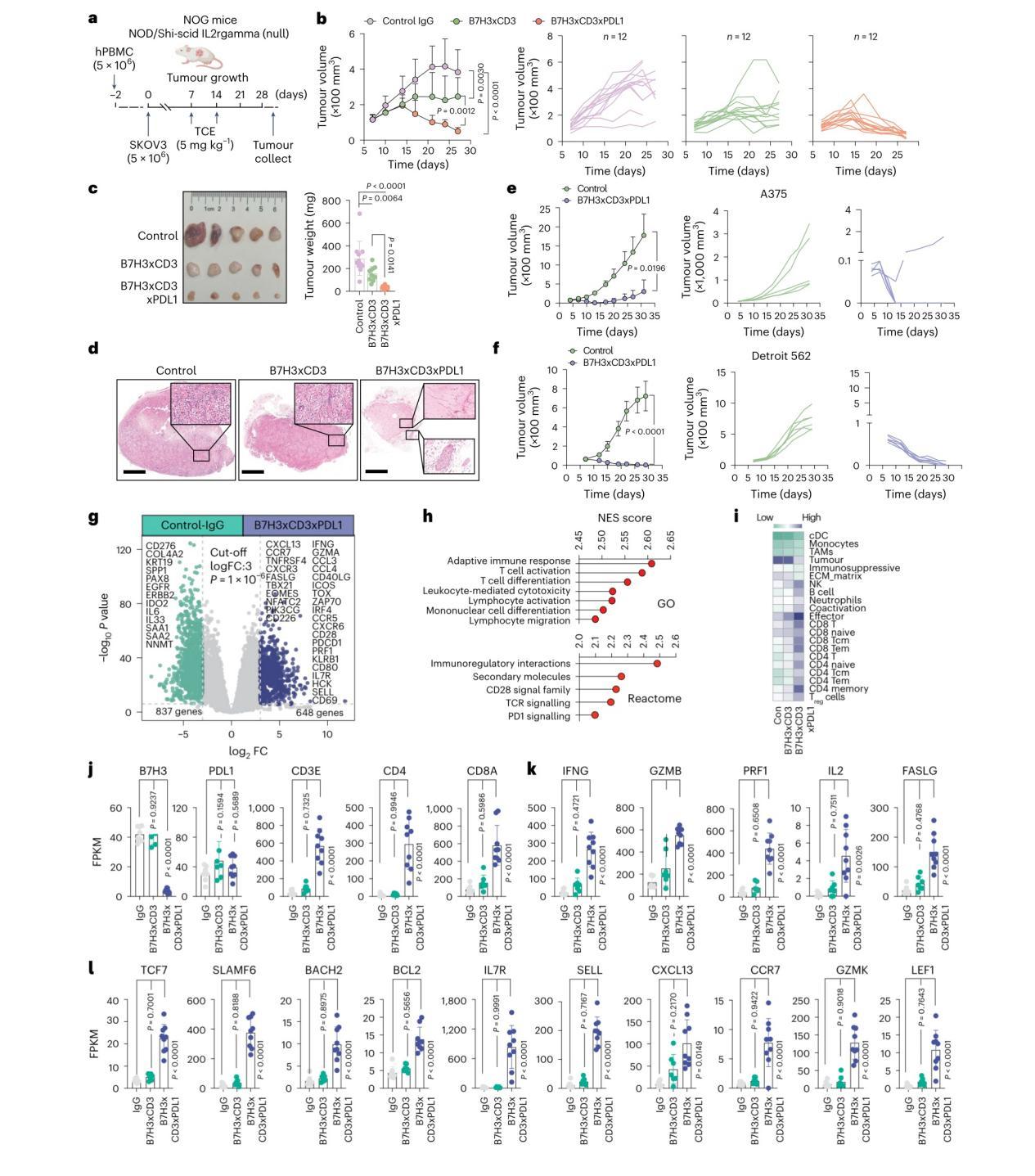 20260127391043.jpeg WPS图片(1)3.jpeg