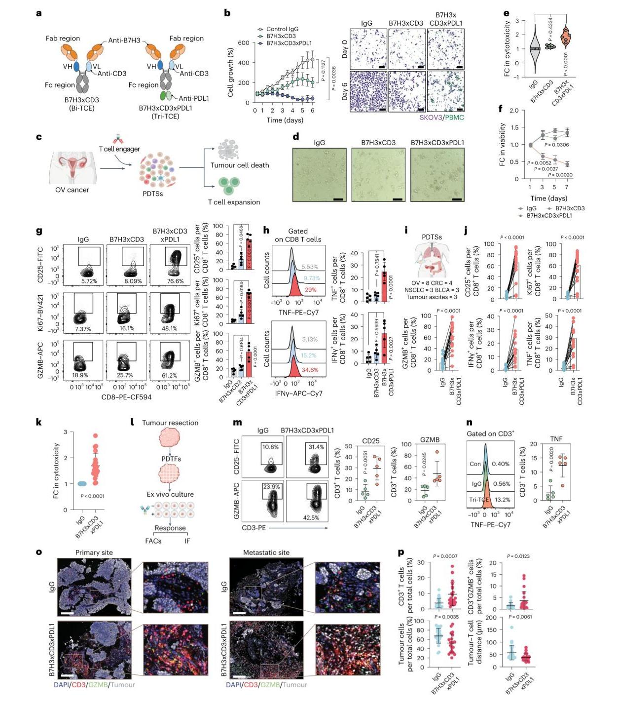 20260127878856.jpeg WPS图片(1)2.jpeg