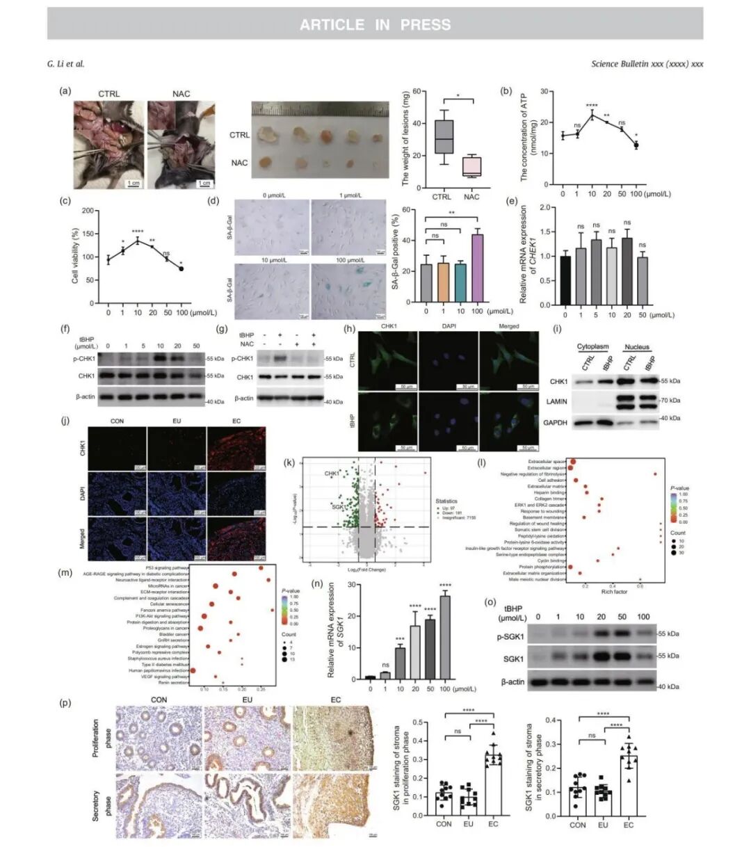 20260129381828.jpg 1111111117_918.jpg