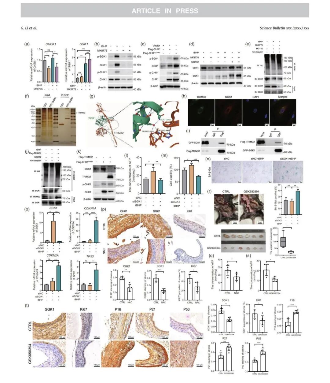 20260129731007.jpg 22222222_914.jpg