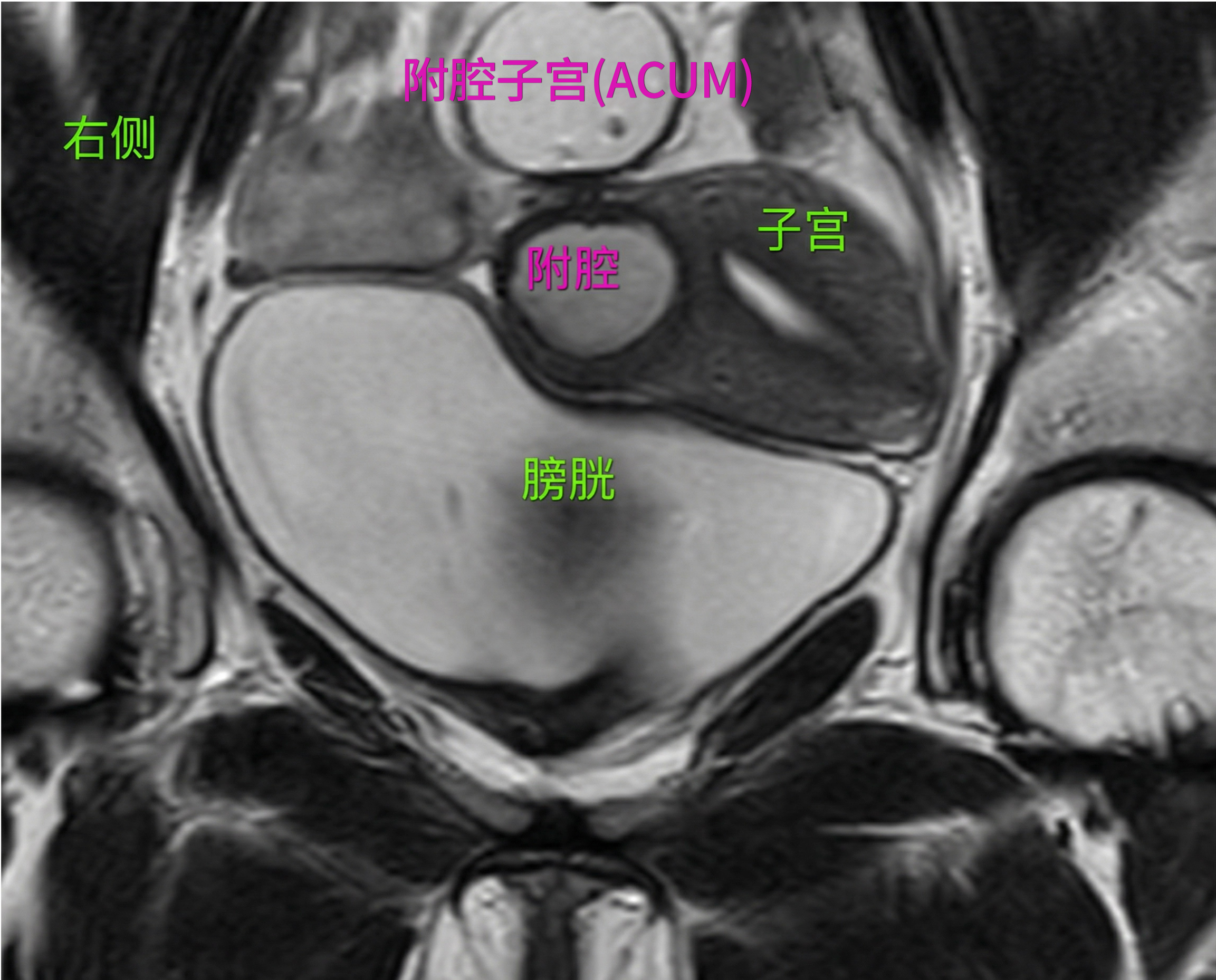 20260313364403.jpg 微信图片_20260313160419_443_62.jpg